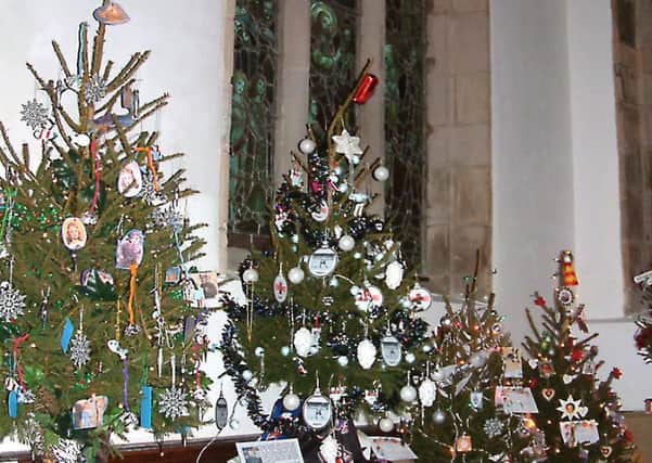 Some of the trees on show.