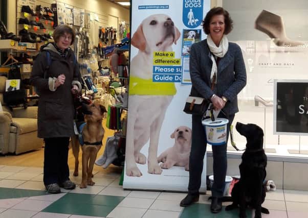 The recent Guide Dogs collection in the Clock Towers. NNL-170216-123212001