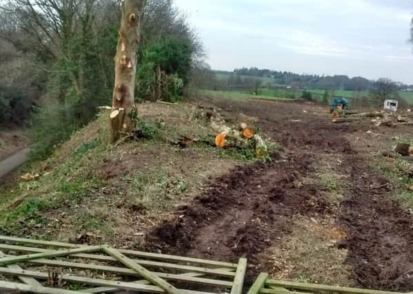 The scene at the Crackley Triangle site after trees next to the Greenway were felled. Picture: Jenny Jones