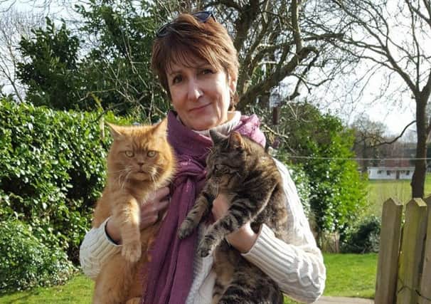 Helen with two of her cats NNL-170803-112015001