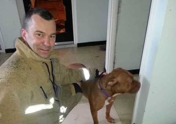 A firefighter with the dog rescued from a fire in a Rugby flat. Photo by Warwickshire Fire and Rescue Service NNL-170323-102057001