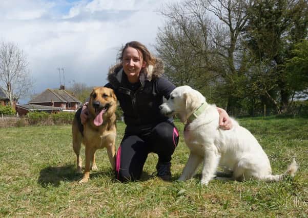 Dog walker Abbie Weston has opened a play park for dogs. Photo: Abbie Weston NNL-170426-090623001