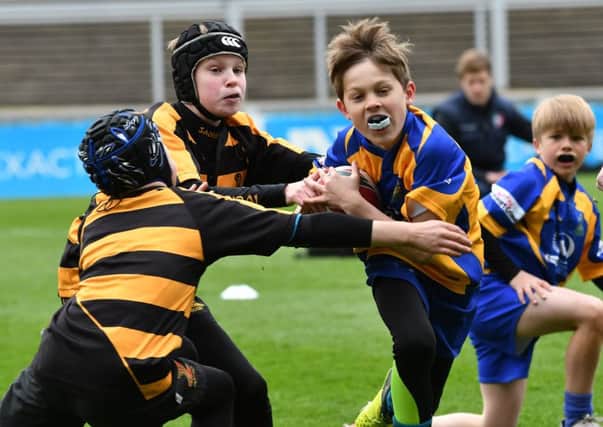 Kenilworth RFC's under-10s playing in the Prima Tiger Cup against Southwold RFC