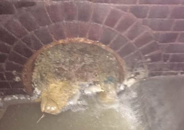 The fat blocked sewer in Warwick. Photo by Severn Trent.