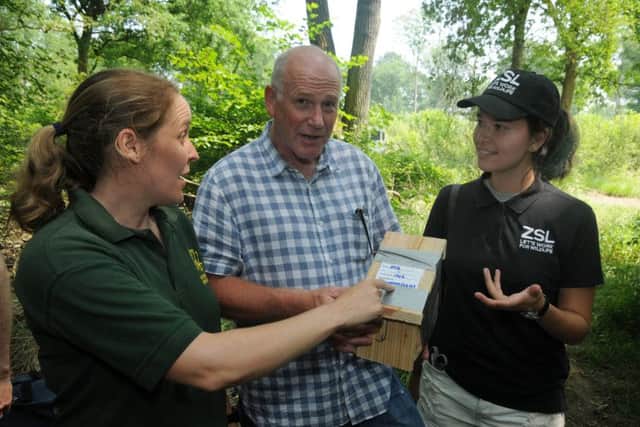 Dormouse breeder Neil Bennent chats with volunteers about the best locations for the boxes.MHLC-20-06-17 hazel dormice NNL-170620-221721009