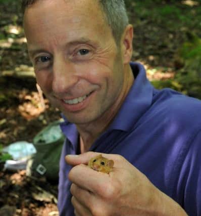 Ian White, Dormouse Officer for Peoples Trust for Endangered Species, with a hazel dormouse NNL-170620-221644009