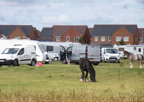 Travellers at Chase Meadow. Photo by John Berkeley.