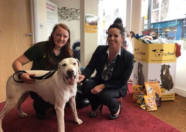 Elizabeth Armstong of Henry Ison & Sons (right) handing over the donations to Dogs Trust
