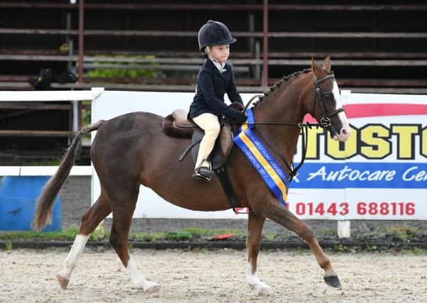 Ila Wingrove and her pony Milford Fare Honeybee. Picture submitted