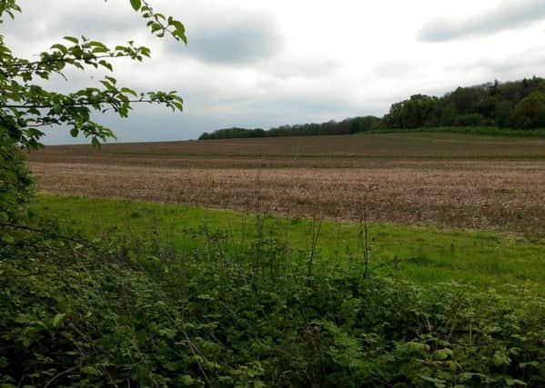 The proposed development site on Gallows Hill, Warwick.