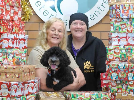 Michelle West (left)  and Pawprints Dog Rescue trustee Trisha Shaw with
some of the 108 shoeboxes full of Christmas treats donated by Michelle to Avonvale Vets Christmas appeal.
